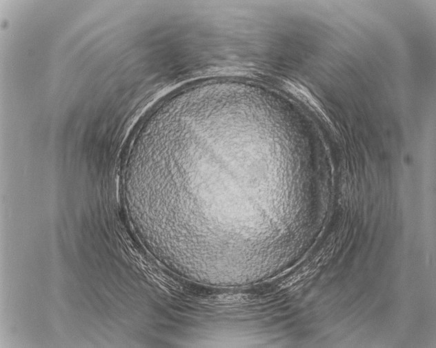 X0000058791268200510211804