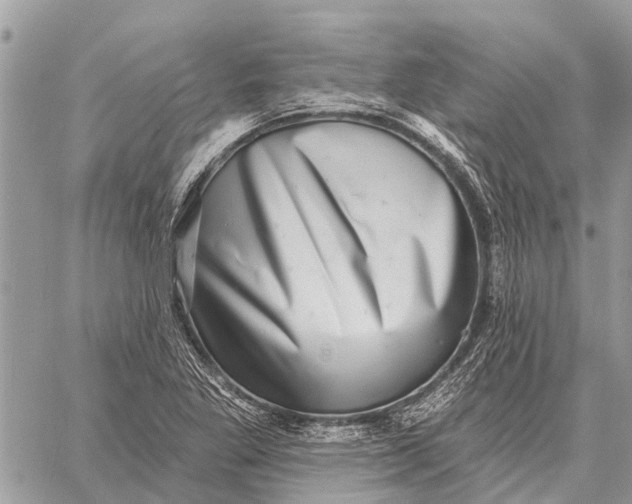 X0000058791269200510211804