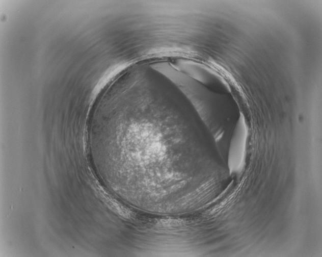 X0000058791277200510211804