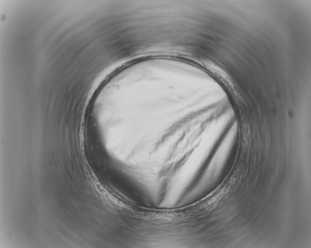 X0000058791288200510211804