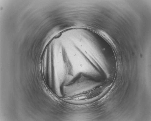 X0000058791292200510211804