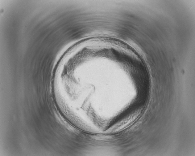 X0000058791296200510211804