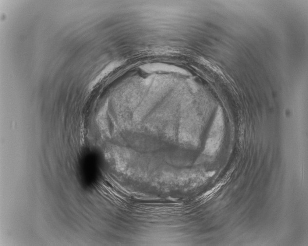 X0000058791306200510211803