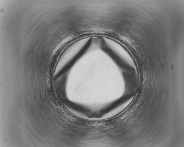 X0000058791307200510211803