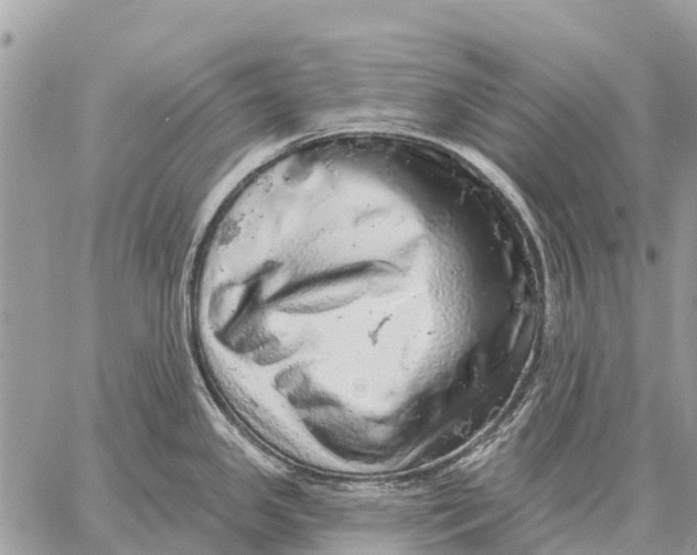 X0000058791341200510211803