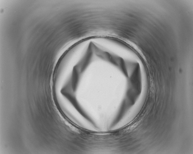 X0000058791343200510211804
