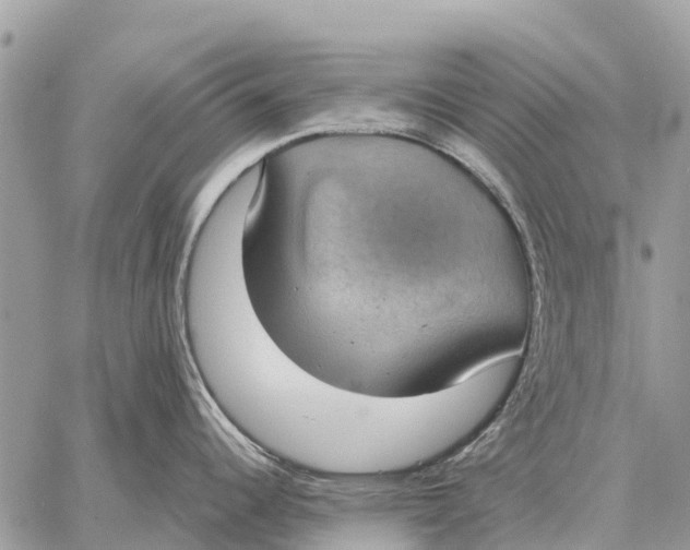X0000058791344200510211804