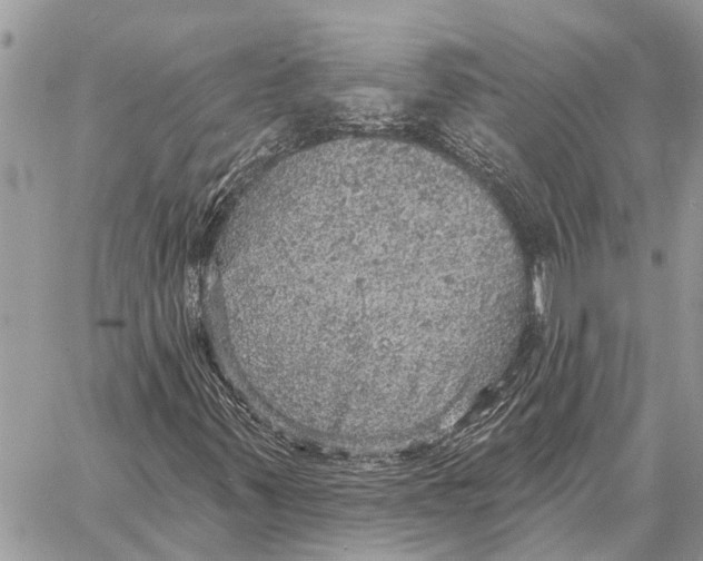 X0000058791347200510211803