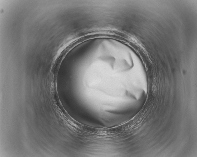 X0000058791360200510211802