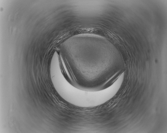 X0000058791394200510211801