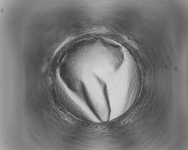 X0000058791400200510211801