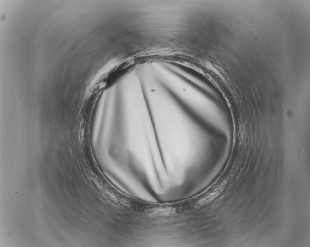 X0000058791406200510211801