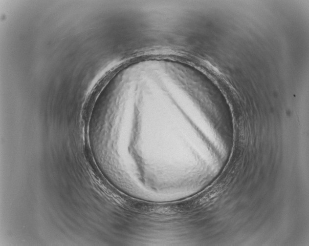 X0000058791408200510211801