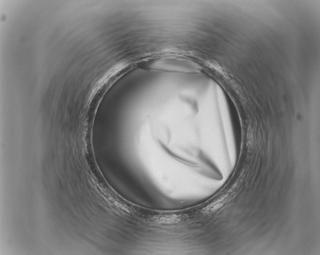 X0000058791410200510211801