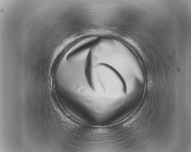 X0000058791414200510211802