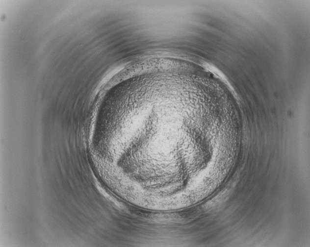 X0000058791433200510211802