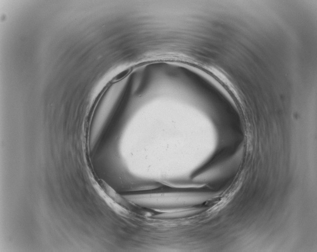 X0000058791438200510211802