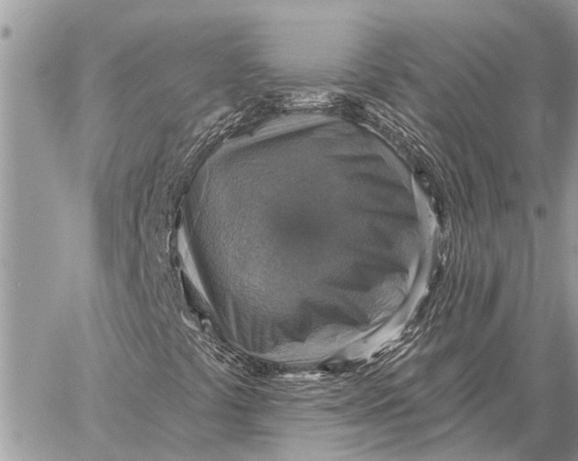 X0000058791441200510211801