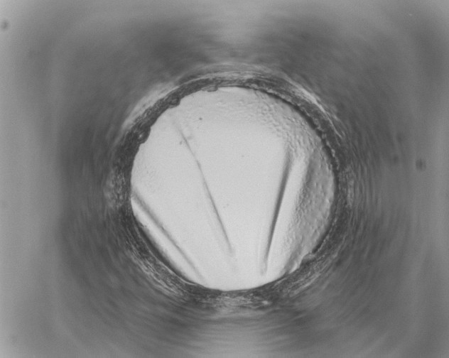 X0000058791448200510211801