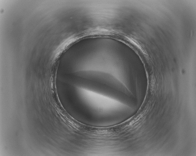 X0000058791455200510211801