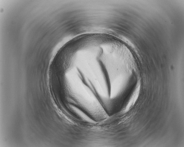 X0000058791480200510211801