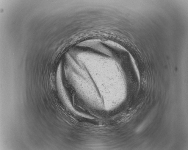 X0000058791490200510211800