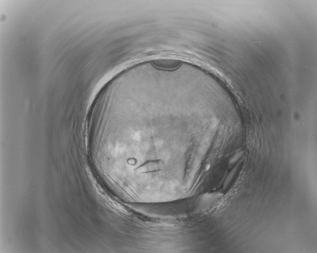 X0000058791522200510211800