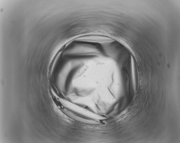 X0000058791532200510211800
