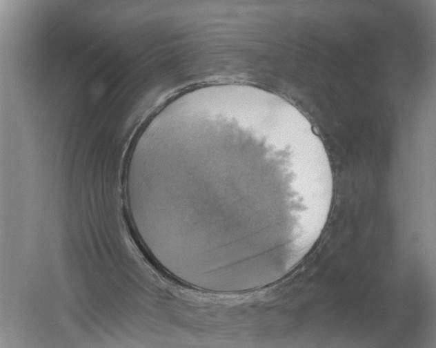 X0000058790002200510282049
