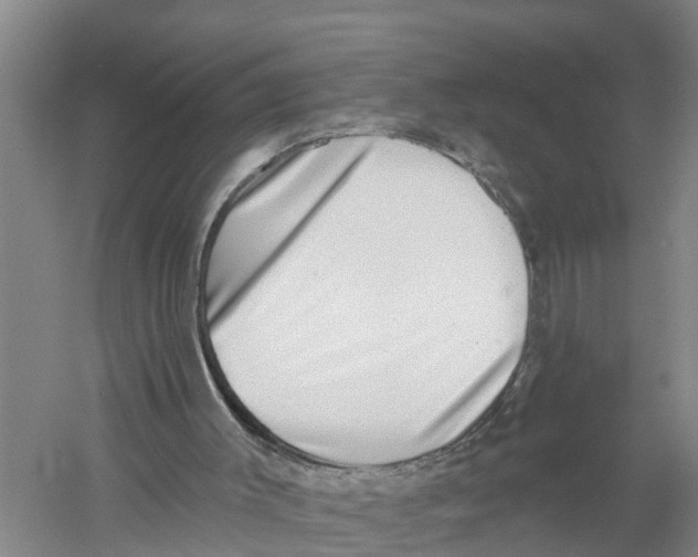 X0000058790003200510282049