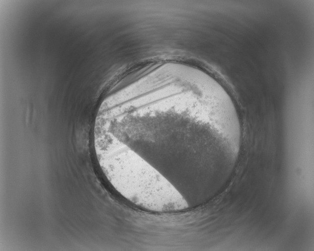 X0000058790010200510282049