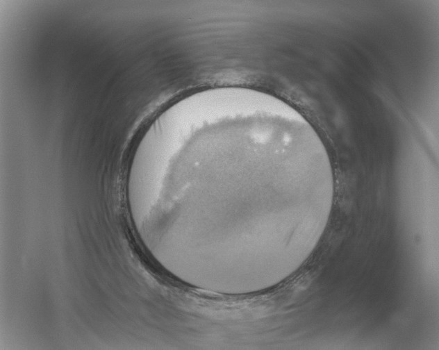 X0000058790012200510282049