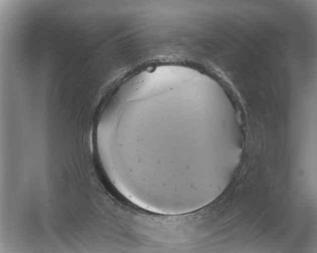 X0000058790019200510282049