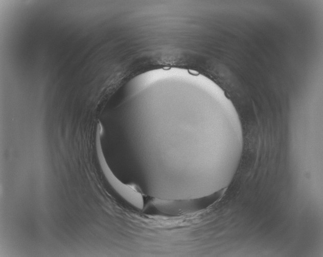 X0000058790031200510282049