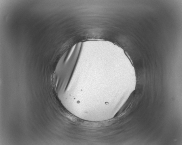X0000058790045200510282049