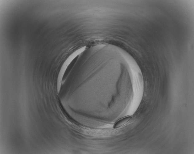 X0000058790048200510282049