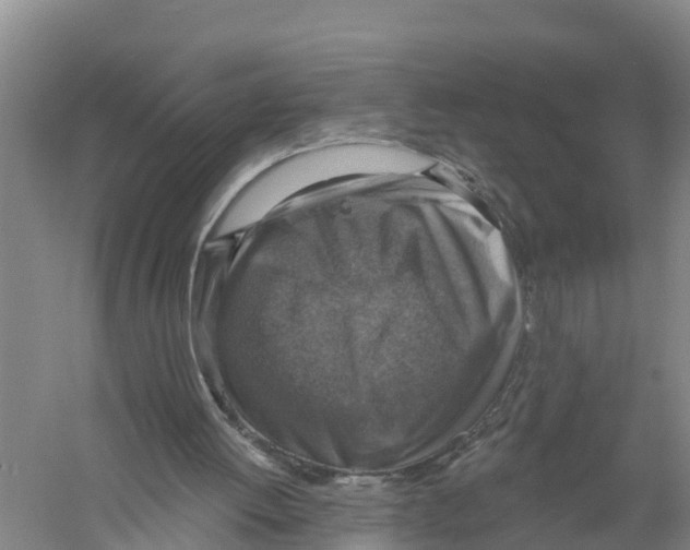 X0000058790052200510282048