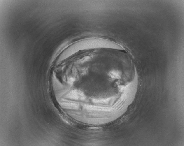 X0000058790053200510282048