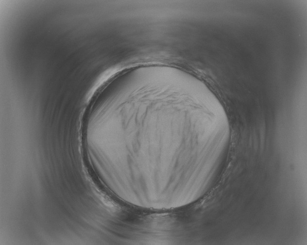 X0000058790054200510282048