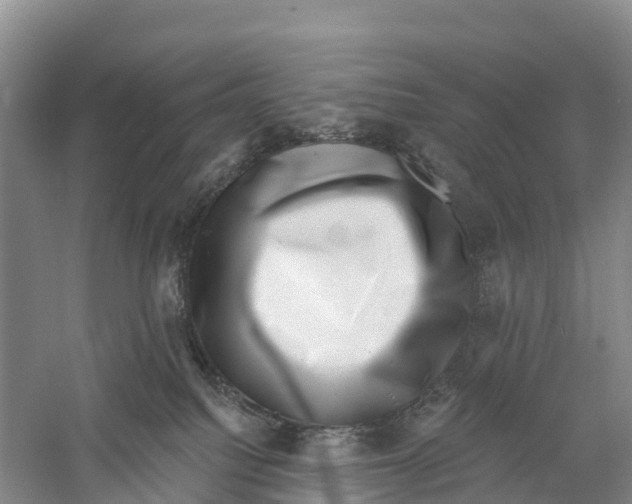 X0000058790088200510282049
