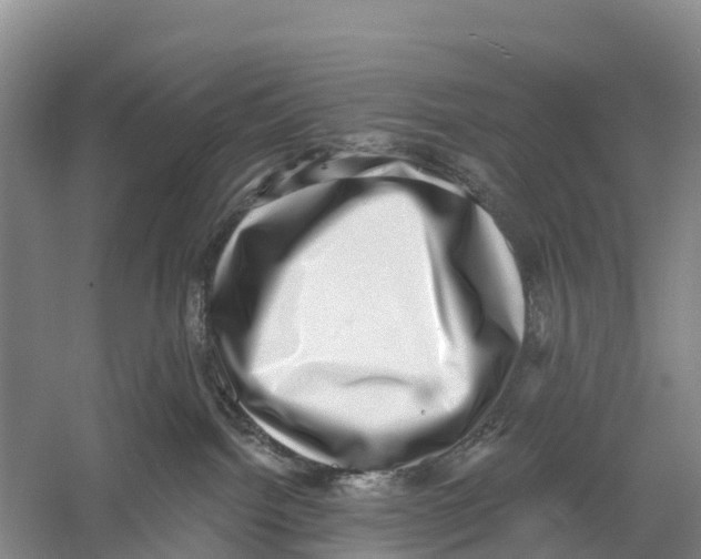 X0000058790092200510282049