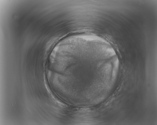 X0000058790097200510282048