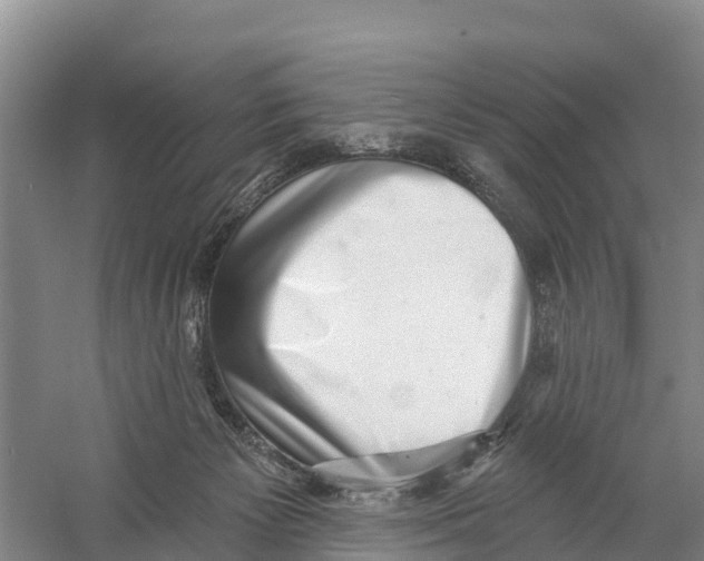 X0000058790125200510282047