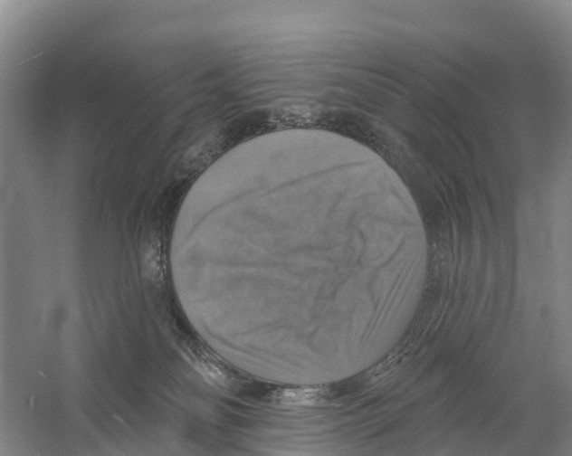 X0000058790134200510282047