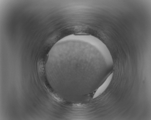 X0000058790137200510282047