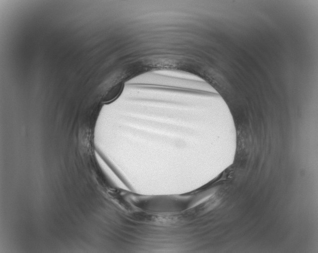 X0000058790141200510282047