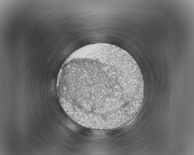 X0000058790144200510282047
