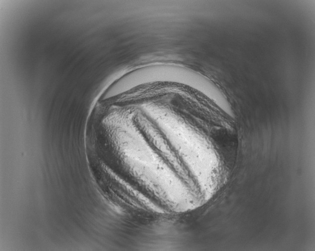 X0000058790148200510282046