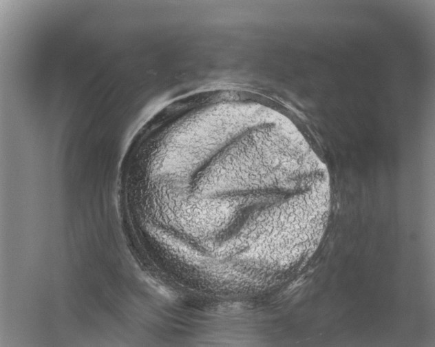 X0000058790152200510282046