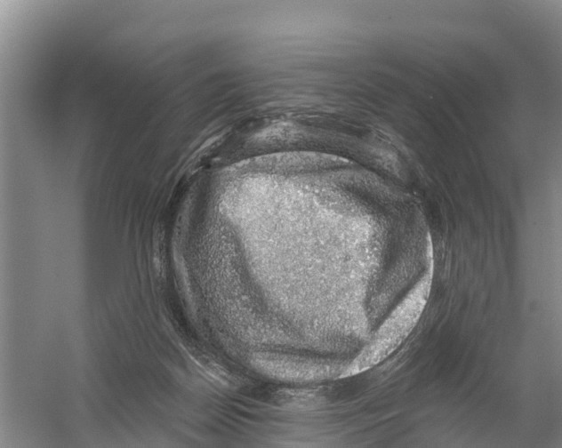X0000058790170200510282047